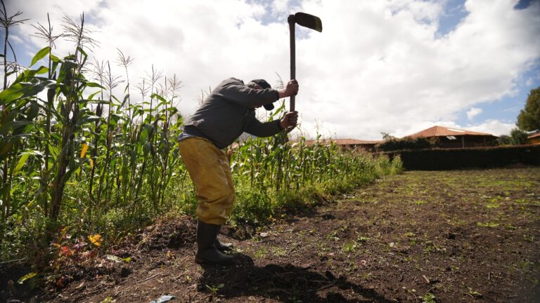 Monitoreo al abastecimiento de alimentos por fenómeno de El Niño