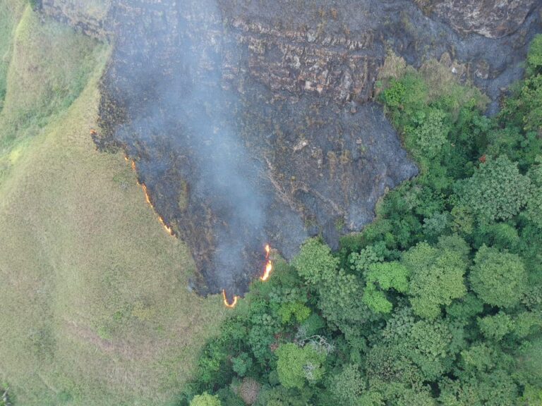 Incendio forestal ha consumido más de 20 hectáreas de vegetación nativa en Carmen de Apicalá