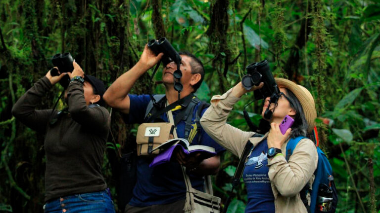 Colombia ocupó el primer lugar en el Global Big Day 2024, y se consolida como el mejor del mundo para el avistamiento de aves