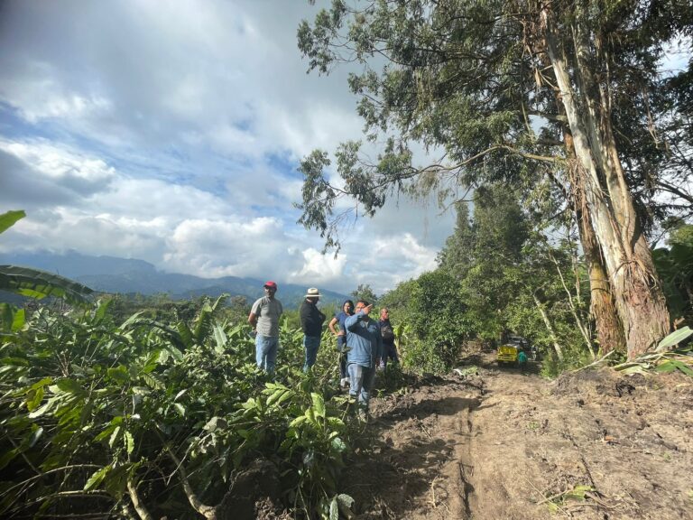 Varias emergencias viales se presentan en zona rural de Ibagué, por deslizamientos de tierra