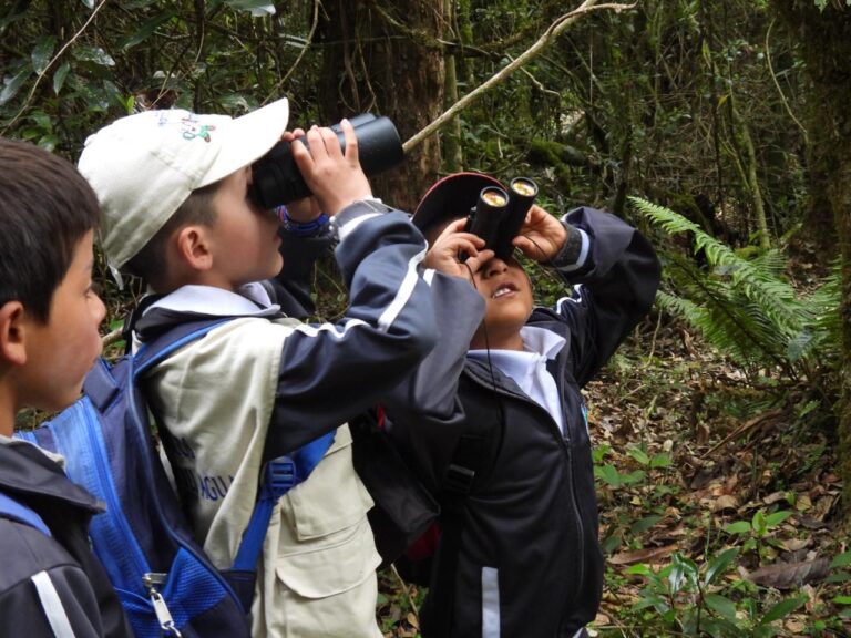 Más de 700 menores de 8 municipios del Tolima participarán en avistamientos de aves con la Expedición Arcoíris