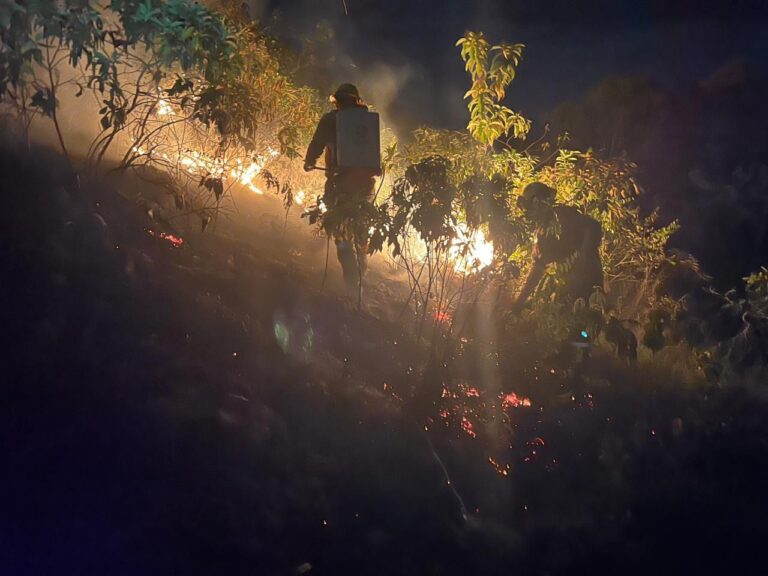 Incendio forestal en la Vereda Siberia de Carmen de Apicalá ha consumido 30 hectáreas de bosque