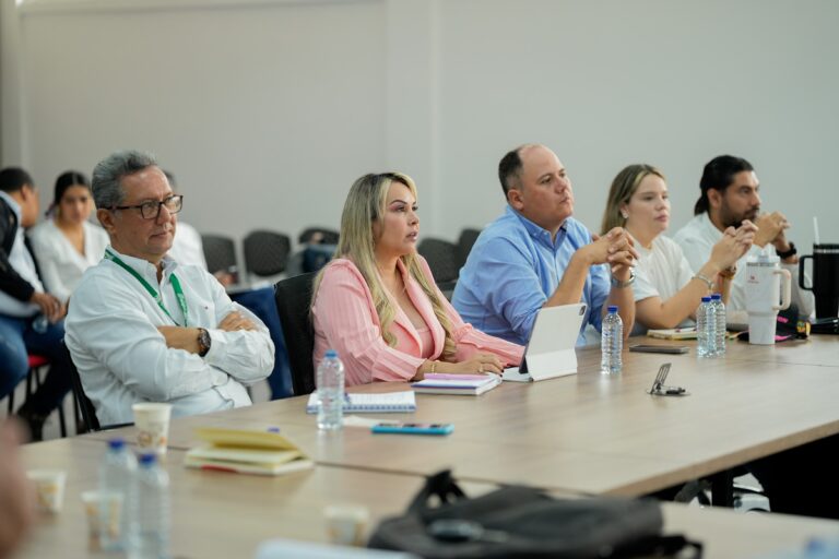 Alcaldesa Aranda pide ayuda de académicos e ingenieros expertos para definir futuro del puente de la 60 de Ibagué