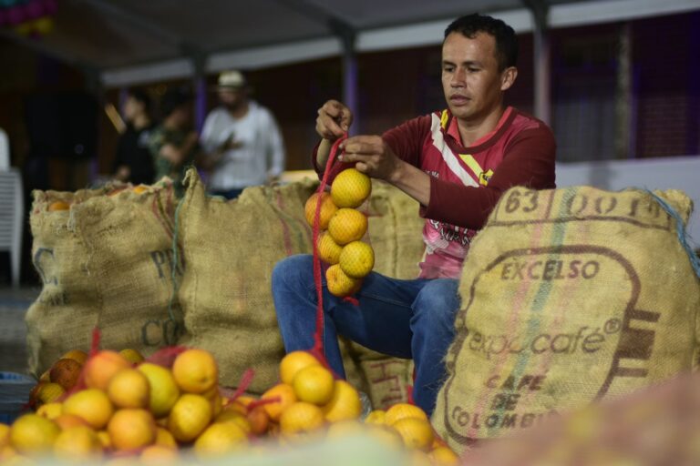 Tres mercados campesinos están funcionando este domingo en Ibagué