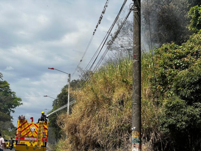 Incendio de Alpujarra ya consumió más de 600 hectáreas muchas dedicadas al cultivo del café