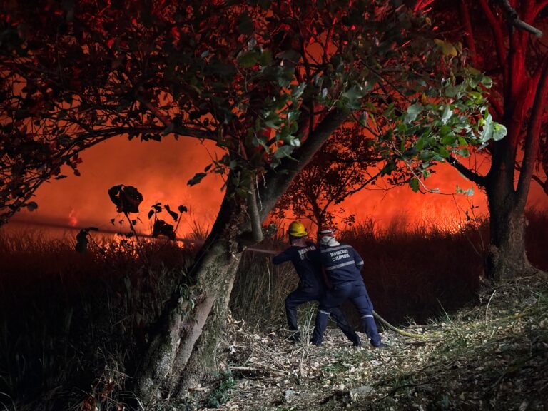 Luego de 6 horas bomberos apagaron incendio en la variante de Ibagué