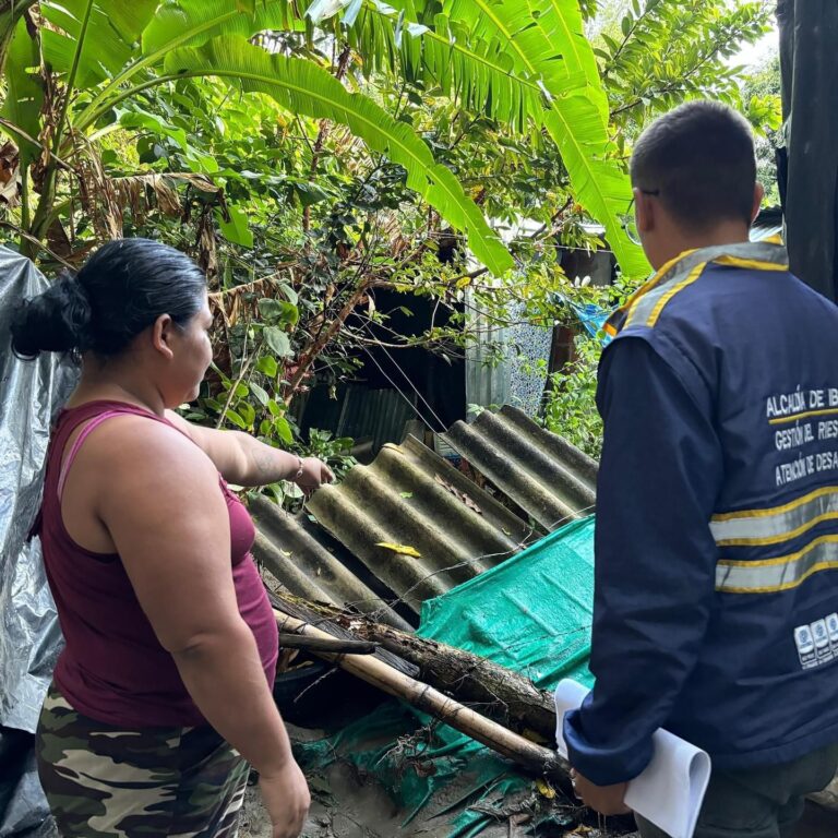 Un total de 20 emergencias por fuertes lluvias se registraron el domingo en Ibagué