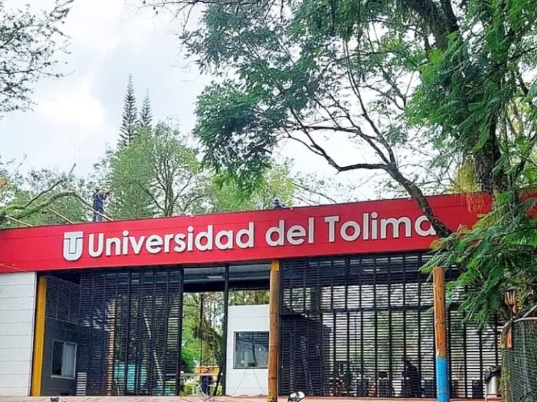 Todo-lo-que-necesita-saber-para-estudiar-gratis-en-la-Universidad-del-Tolima