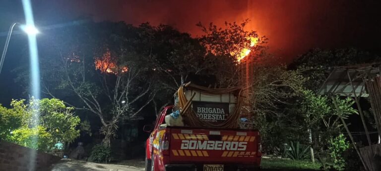 Incendio forestal de gran magnitud persiste en Ortega. Tolima padece racha de incendios forestales