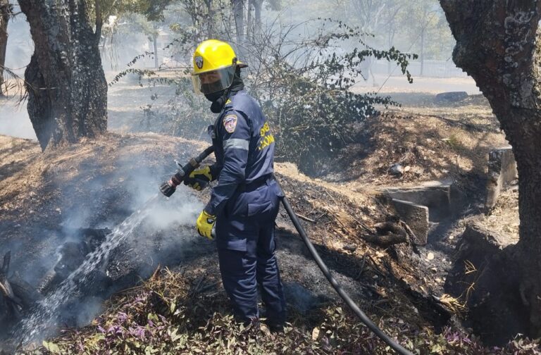 Cerca de 500 incendios forestales han ocurrido durante este año en Ibagué