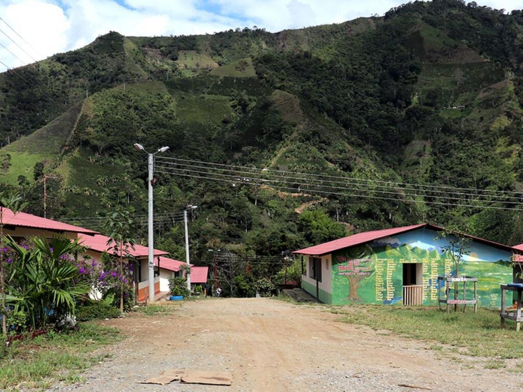 “Necesitamos su liderazgo”: el pedido urgente de la gobernadora del Tolima a Petro tras atentado con dron en Planadas