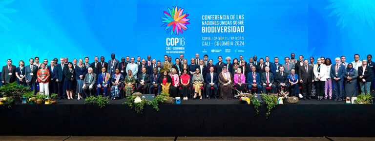 Lo más destacado de la COP16 que mostró por qué Colombia es potencia mundial de la vida