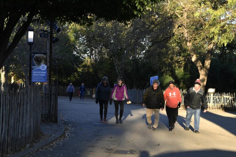 ¿Qué hace que caminar sea tan bueno para tu salud y qué más necesitas hacer?