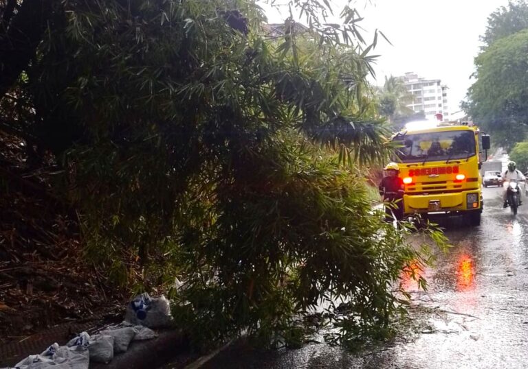 Caída de árboles y afectaciones a viviendas por fuertes lluvias en Ibagué