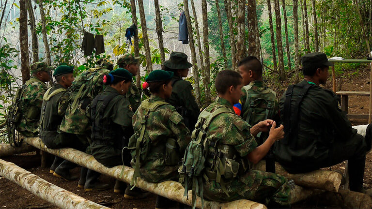 Rescatan en el Tolima 14 niños que habían sido reclutados por grupos subversivos