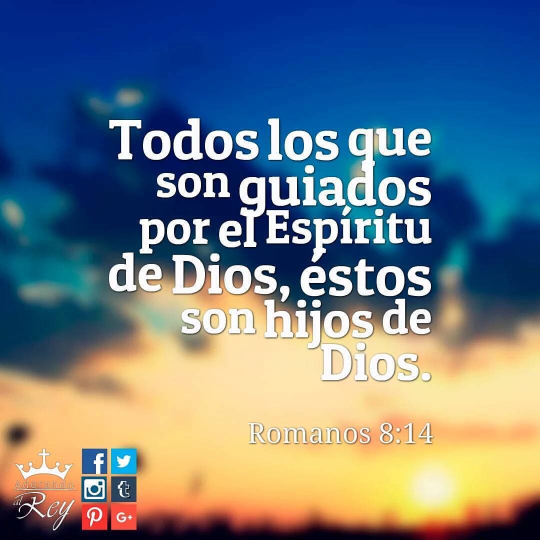 La semana comienza con «La Palabra del Día lunes. Léala completa aquí