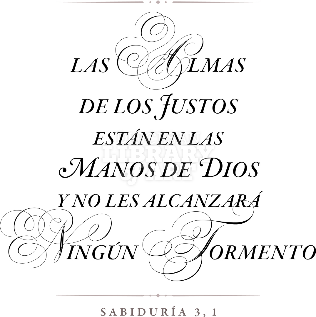 Compartimos «La Palabra del Día» martes. Léala completa aquí