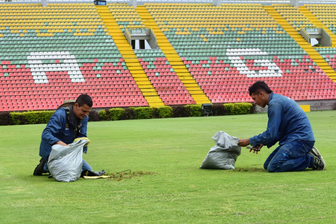Comenzaron trabajos de mantenimiento al gramado del estadio Murillo Toro de Ibagué para la Copa Libertadores