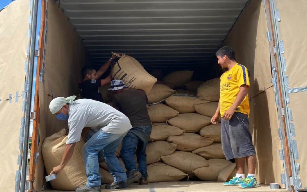 Las exportaciones del Tolima se incrementaron en más del 400 por ciento al cierre del 2025