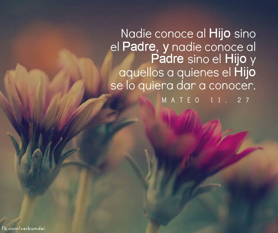 Compartimos la «Palabra del Día» viernes. Léala completa aquí