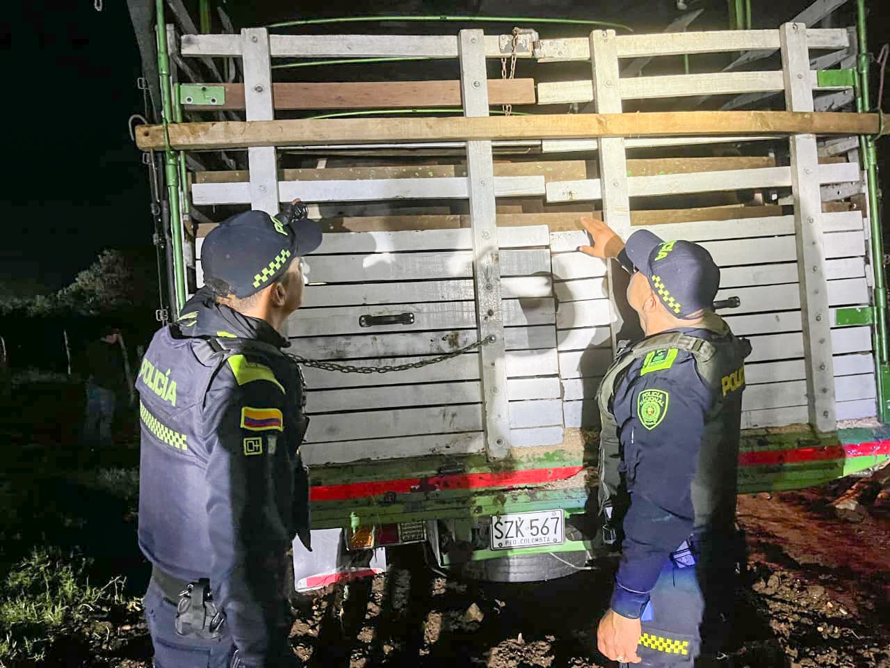 En zona rural de Ibagué la Policía recuperó 11 bovinos de raza Cebú – Brahman avaluados en más de 60 millones de pesos