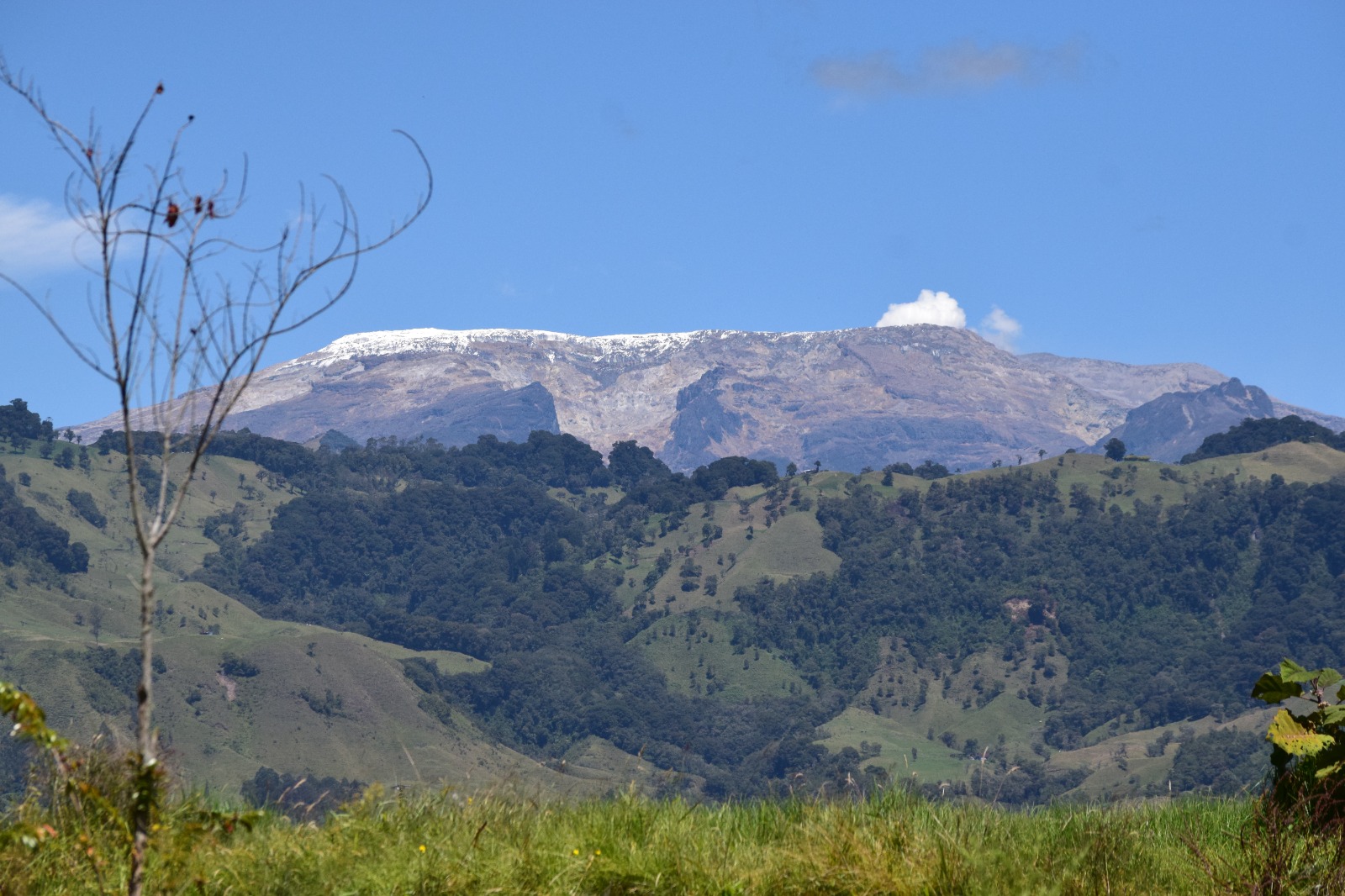 Gobernación del Tolima alerta a turistas que visitan el Parque Los Nevados por graves impactos ambientales debido a malas prácticas