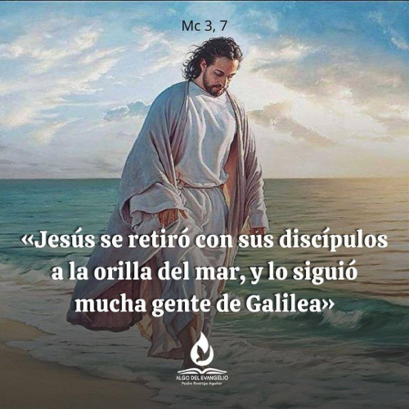 Unos segundos para disfrutar «La Palabra del Día» jueves. Léala aquí