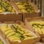 Exportaciones agropecuarias crecieron 11,6% en valor y 63,2% en volumen en febrero de 2026