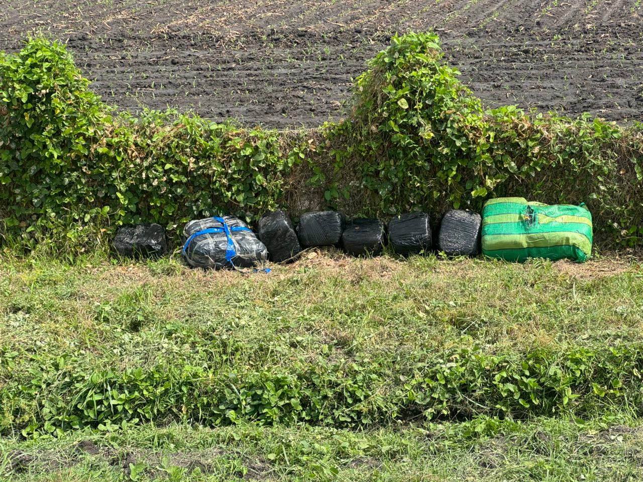 En menos de 4 días se han incautado 2.7 Toneladas de marihuana en el Tolima