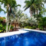 WhatsApp Image 2026-04-01 at 08.37.33