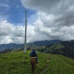 WhatsApp Image 2026-04-06 at 11.13.02