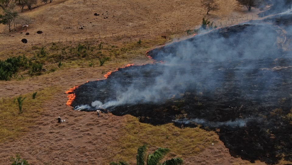 Cortolima realiza sobrevuelo para apoyar atención de incendios en Ortega